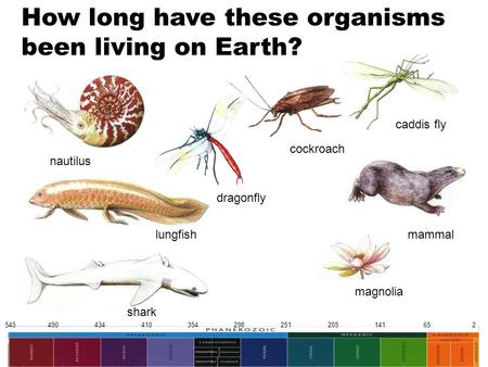 relative dating online lab